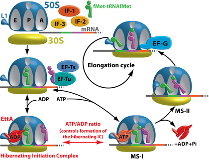 fig_2